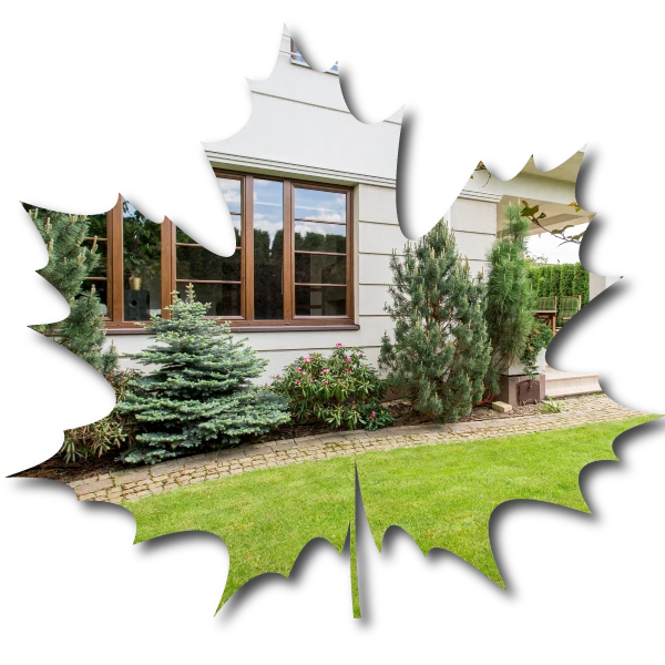 home-img