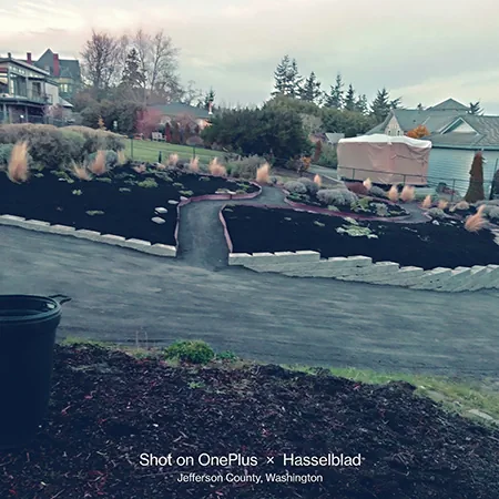 Landscape Design